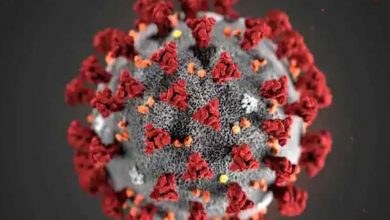 Photo of หนึ่งในคำภาษาอังกฤษที่ใช้บ่อยที่สุดในเดือนเมษายนคือโคโรนาไวรัส |  คำที่ใช้มากที่สุดของ Coronavirus, Lockdown และ WFH ในปี 2020 ทราบถึงแนวโน้มของโลก