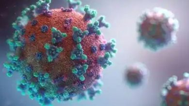 Photo of การกลายพันธุ์ของไวรัสโคโรนาสายพันธุ์ใหม่ที่พบในสหราชอาณาจักรมีคำถามเกี่ยวกับผลของวัคซีน |  อวตารใหม่ของ Corona ที่มีให้เห็นในประเทศนี้มีคำถามเกี่ยวกับผลของวัคซีน