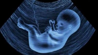 Photo of พบไมโครพลาสติกในรกของทารกในครรภ์เป็นครั้งแรก |  ไมโครพลาสติกถึงรกของเด็กในครรภ์เป็นครั้งแรกในโลกอาจส่งผลต่อภูมิคุ้มกัน