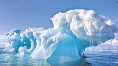 Photo of ภูเขาน้ำแข็งแอนตาร์กติกาขนาดยักษ์เป็นภัยคุกคามอย่างมากต่อสิ่งแวดล้อม |  นักวิทยาศาสตร์ได้แสดงความกังวลเกี่ยวกับการตกของน้ำแข็งในทะเลหลังจากที่แตกจากแอนตาร์กติกา