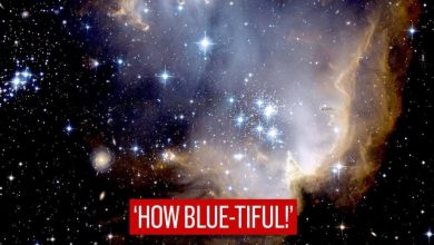 Photo of nasa แชร์รูปกระจุกดาราหนุ่มอายุ 5 ล้าน |  NASA แบ่งปันภาพถ่ายของ Young Star Cluster อายุ 5 ล้านปีโดยเขียนว่า – ‘How blue-tiful!’