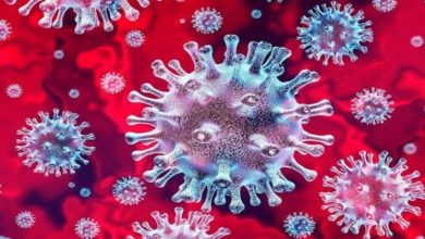 Photo of งานวิจัยอ้างผู้ป่วยมีอาการโคโรนาไวรัสแม้พักฟื้น 6 เดือน |  การวิจัย: อาการของ Coronavirus สามารถเห็นได้ถึง 6 เดือนหลังการฟื้นตัว