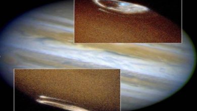 Photo of ภาพถ่ายที่น่าประหลาดใจของดาวเคราะห์จูปิเตอร์ที่ NASA แบ่งปันกันอย่างดุเดือดในโซเชียลมีเดีย  NASA เผยแพร่ภาพที่น่าประหลาดใจของดาวพฤหัสบดีดาวเคราะห์ชมภาคเหนือและภาคใต้ของอรุโณทัย!