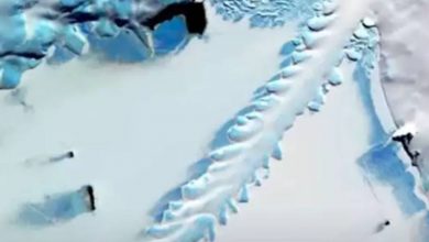 Photo of นักวิทยาศาสตร์นาซ่ากังวลหลังพบรูปร่างประหลาดปกคลุมด้วยแผ่นน้ำแข็งในแอนตาร์กติกา |  นักวิทยาศาสตร์ยังกังวลว่ารูปประหลาดปกคลุมด้วยแผ่นน้ำแข็งที่เห็นในแอนตาร์กติกา