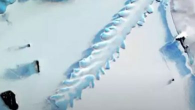 Photo of การวิจัยของนักวิทยาศาสตร์ของ NASA เกี่ยวกับรูปร่างบนแอนตาร์กติกาน้ำแข็งเหนือภัยพิบัติจากภูเขาเอเรบัส