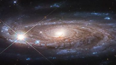 Photo of ดาวหายากที่มีอยู่ sextuply ที่พบในระบบดาว Sextuple ในกาแลคซี |  ระบบ Sextuple Star: เรื่องหายากที่พบในกาแล็กซี่ดาว 6 ดวงหมุนรอบกันและกัน