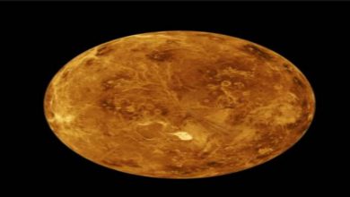 Photo of การวิจัยของ Science News เผยว่าไม่พบก๊าซฟอสฟีนบนดาวเคราะห์วีนัส  Venus: ชีวิตบนดาวศุกร์เป็นไปไม่ได้!  การศึกษาใหม่เปิดเผยจะไม่พบการตั้งถิ่นฐานของมนุษย์