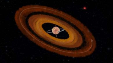 Photo of ระบบ K2-290A นักดาราศาสตร์ค้นหาระบบดาวเคราะห์สองดวงรอบดาวฤกษ์ที่หมุนย้อนกลับ |  Backward Spinning Star: เหตุการณ์หายากในจักรวาล!  ดาวของระบบดาวเคราะห์ทั้งสองดวงนี้กำลังหมุนกลับหัว