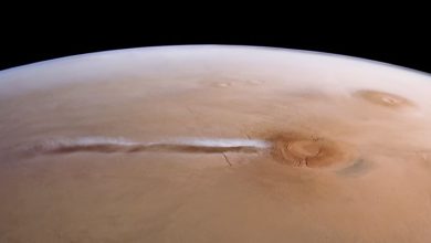 Photo of NAsa Martian cloud เผยความลับข่าววิทยาศาสตร์ isro เป็นภาษาฮินดี |  เมฆอังคาร: เมฆขาวสูง 1800 กม. ที่เห็นบนดาวอังคาร Mangalyaan จาก ISRO เผยความลึกลับ