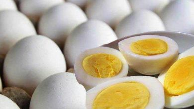 Photo of ควรกินไข่กี่ฟองต่อวันกินไข่ในฤดูร้อนรู้ที่นี่ mpsn |  ควรกินไข่กี่ฟองในหนึ่งวัน?  กินไข่อะไรในฤดูร้อน?  รู้จักที่นี่
