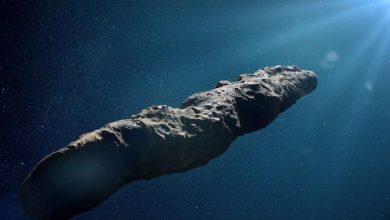 Photo of Alien stone Oumuamua มาจากข่าววิทยาศาสตร์ Alien Pluto ในภาษาฮินดี |  Oumuamua: หิน Oumuamua มาจาก Alien Pluto การเข้าสู่ระบบสุริยะของ Alien Technology!