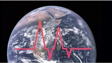 Photo of Schumann Resonances เรียกว่าจังหวะแผ่นดิน  มันมีผลต่อพฤติกรรมของมนุษย์ |  Schumann Resonances: ‘จังหวะของโลก’ มีผลต่อจิตใจมนุษย์รู้ว่าวิทยาศาสตร์พูดอย่างไร