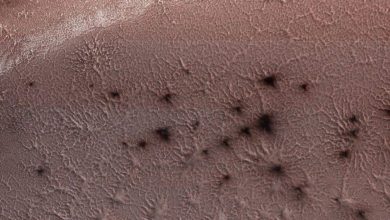 Photo of ‘แมงมุม’ บนดาวอังคารนักวิทยาศาสตร์ไขปริศนา ‘แมงมุม’ บนดาวอังคารนาซ่ามาร์สมิชชั่นข่าววิทยาศาสตร์ |  ‘แมงมุม’ จากดาวอังคาร: ความลึกลับของ ‘แมงมุม’ บนดาวอังคารทำให้นักวิทยาศาสตร์สับสนจนถึงตอนนี้ตั้งแต่การศึกษาใหม่ไปจนถึงภารกิจของดาวอังคาร