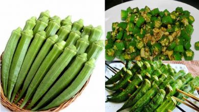 Photo of ประโยชน์ด้านสุขภาพของ Lady Finger Bhindi ke Fayde Immunity Booster ช่วยในการลดน้ำหนักเคล็ดลับปรับปรุงการย่อยอาหารของสายตาและดีต่อผิว upns |  ใคร ๆ ก็ชอบกินเลดี้ฟิงเกอร์ในฤดูร้อน แต่ประโยชน์ที่น่าอัศจรรย์ของมันจะทำให้คุณประหลาดใจ