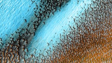 Photo of Blue Dunes บนดาวอังคาร NASA แบ่งปันภาพเนินทรายสีน้ำเงินของดาวอังคารที่สวยงามมาก |  บลูดูนส์บนดาวอังคาร: NASA แบ่งปันภาพเนินทรายสีน้ำเงินของดาวอังคารที่สวยงามมากแล้วเจอกัน