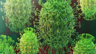 Photo of coronavirus โบราณแพร่กระจายไปทั่วเอเชียตะวันออกเมื่อยี่สิบห้าปีที่แล้วข่าวล่าสุดวิทยาศาสตร์ |  การศึกษาอ้างว่าโคโรนาไวรัสคร่าชีวิตผู้คนในช่วง 25 พันปีที่ผ่านมา