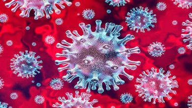 Photo of ไวรัสโคโรนาสายพันธุ์อินเดียพบใน 17 ประเทศเผยข่าวล่าสุดโควิด |  ‘ตัวแปรอินเดีย’ ของ Coronavirus เป็นอันตรายอย่างยิ่งซึ่งพบใน 17 ประเทศ