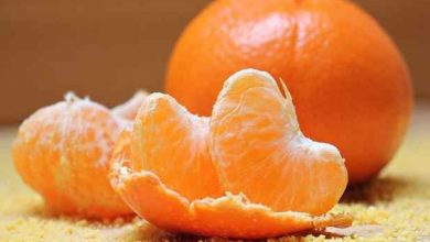 Photo of ประโยชน์ด้านสุขภาพของส้มในช่วงฤดูร้อนรู้ที่นี่ 5 ประโยชน์ที่น่าทึ่ง brmp |  ข่าวสุขภาพ: ภูมิคุ้มกันจะเพิ่มขึ้นและเปล่งประกายบนใบหน้ารู้ 5 ประโยชน์มหัศจรรย์ของการกินส้มในหน้าร้อน!