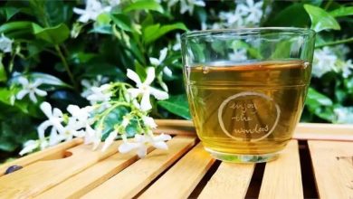 Photo of International Tea Day 2021 สูตรชาสมุนไพรมหัศจรรย์และประโยชน์ต่อปอดและทางเดินหายใจ |  กิน ‘ชาวิเศษ’ ในวันน้ำชาสากลปอดจะได้ห่างไกลจากการติดเชื้อ