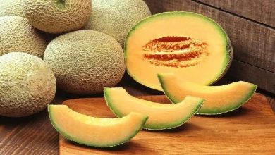 Photo of อะไรคือประโยชน์ของ muskmelon kharbooja khane ke ปฏิสัมพันธ์ kharbooja ประโยชน์ samp |  ภูมิคุ้มกันของร่างกายจะเพิ่มขึ้นโดยการบริโภคผลไม้นี้ในฤดูร้อน รู้ถึงประโยชน์ของมันตามผู้เชี่ยวชาญ