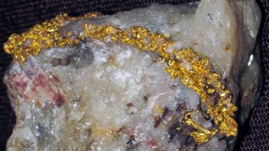 Photo of เส้นเลือดทองคำก่อตัวอย่างไรในหิน ข่าววิทยาศาสตร์ |  Gold Veins: นี่คือวิธีที่ทองคำแท้ถูกสะสมในรอยแยกของหิน!  นักวิทยาศาสตร์เปิดเผยความลับของ ‘เส้นเลือดทองคำ’