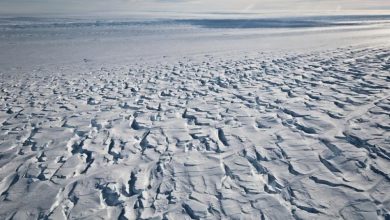 Photo of หิ้งน้ำแข็งปกป้องธารน้ำแข็งแอนตาร์กติกกำลังแตกเร็วขึ้น |  ธารน้ำแข็งแอนตาร์กติกละลาย: วิกฤตที่เพิ่มขึ้นของธารน้ำแข็งแอนตาร์กติกน้ำแข็งที่กำลังละลายหายไป is