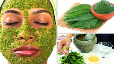 Photo of Neem face pack จะพาความโกลว์ของใบหน้ากลับมา รู้ที่นี่ ให้หน้าสวยด้วย neem brmp |  ให้หน้าสวยด้วยใบสะเดาจะกลับมา สิวจะหายไป will