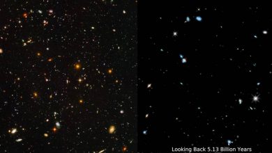 Photo of วิดีโอไวรัสอายุ 13 พันล้านปีของ NASA กาแลคซีภาพ Hubble Ultra Deep Field |  NASA แชร์วิดีโอกาแล็กซี่อายุ 13 พันล้านปี แล้วคุณจะทึ่งเมื่อได้เห็น