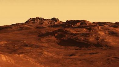 Photo of นักวิทยาศาสตร์ Mission Mars เผยเวลาที่ดีที่สุดในการบินไปดาวอังคาร |  ทำไมนักวิทยาศาสตร์ถึงอยากไปดาวอังคารเมื่อดวงอาทิตย์ร้อนที่สุด?  นี่คือเหตุผล