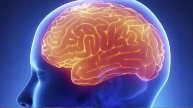 Photo of สัญญาณเตือนของเนื้องอกในสมองในภาษาฮินดี appp |  สัญญาณของเนื้องอกในสมอง : อย่ามองข้าม ปวดหัว อาเจียน เวียนหัว อาจเป็นสัญญาณของเนื้องอก..