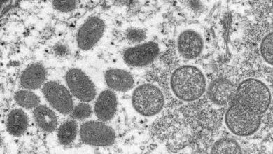 Photo of คณะกรรมการฉุกเฉินของ WHO อาจพิจารณาประกาศวิกฤตโรคอีสุกอีใสระดับโลก |  Monkeypox: WHO ได้ดำเนินการขั้นตอนนี้เกี่ยวกับโรคฝีลิงแล้วสามารถประกาศภาวะฉุกเฉินระดับโลกได้