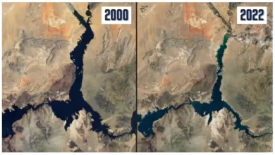 Photo of ภัยแล้งในอ่างเก็บน้ำ Lake Mead ที่ใหญ่ที่สุดของอเมริกาทำให้ภาพ NASA ว่างเปล่าถึง 73% ตกตะลึง |  ตอนนี้วิกฤตภัยแล้งกำลังเพิ่มขึ้นในส่วนนี้ของอเมริกา NASA ปล่อยภาพออกมา คนเห็นต้องแปลกใจ