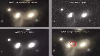 Photo of กล้องโทรทรรศน์อวกาศเจมส์ เว็บบ์ จับภาพการค้นพบใหม่ของซุปเปอร์โนวาครั้งแรก วิดีโอสดและภาพของดาวที่กำลังจะตาย |  กล้องโทรทรรศน์เจมส์เวบบ์: เครื่องของนาซ่าเห็น ‘ความตาย’ ของดาวฤกษ์นักวิทยาศาสตร์ก็ประหลาดใจที่เห็นหลักฐาน