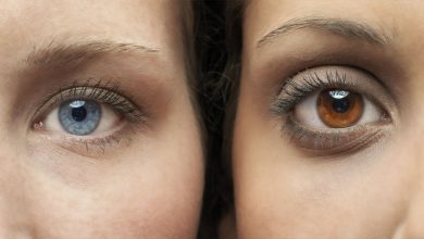 Photo of ตาบางตาเป็นสีน้ำตาลและบางตัวเป็นสีน้ำเงินทำไมเป็นเช่นนี้ เข้าใจศาสตร์แห่งสีตาที่สมบูรณ์