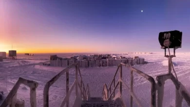 Photo of ฤดูหนาวสิ้นสุดลง ดวงอาทิตย์ขึ้นในแอนตาร์กติกาหลังจากความมืดสี่เดือน |  Winter is over: Winter is over, ที่นี่ดวงอาทิตย์ถูกมองเห็นหลังจากสี่เดือน