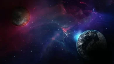 Photo of นักวิทยาศาสตร์ได้ค้นพบโลกอื่นเช่นดาวเคราะห์ Super Earth exoplanet tess ภาพภารกิจ |  ข่าววิทยาศาสตร์: นักวิทยาศาสตร์ค้นพบซุปเปอร์เอิร์ธ ดาวเคราะห์ที่มีลักษณะเฉพาะนี้ดูเหมือนโลก
