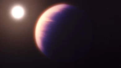 Photo of นักวิทยาศาสตร์ได้ค้นพบคาร์บอนไดออกไซด์บนดาวเคราะห์นอกระบบ NASAs James Webb Space Telescope WASP-39b