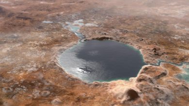 Photo of NASA Perseverance Rover พบหลักฐานของน้ำบน Mars Jezero Crater |  ข่าววิทยาศาสตร์: รถแลนด์โรเวอร์ของ NASA ประสบความสำเร็จอย่างมาก ได้ค้นพบครั้งใหญ่บนดาวอังคาร