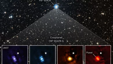 Photo of NASA James Webb Telescope ค้นพบดาวเคราะห์ที่ใหญ่กว่าดาวพฤหัสบดี HIP 65426 b |  ข่าววิทยาศาสตร์: กล้องโทรทรรศน์ของนาซ่าค้นพบดาวเคราะห์ดวงใหญ่เช่นนี้ ทุกคนจะต้องตะลึงเมื่อได้รู้