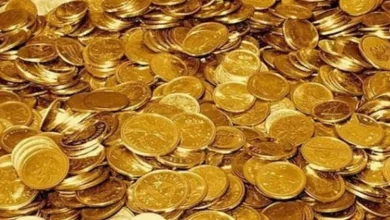 Photo of พบเหรียญทองมูลค่า 2.5 สิบล้านรูปีระหว่างการปรับปรุงบ้านในสหราชอาณาจักร