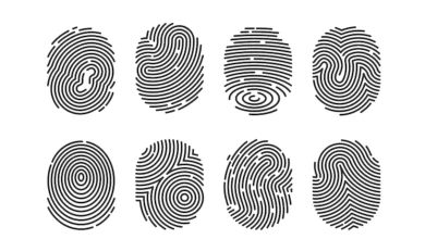 Photo of ลายนิ้วมือแตกต่างกันอย่างไรที่คุณใช้ในการระบุรหัสผ่าน |  ข่าววิทยาศาสตร์ : เรื่องน่ารู้เกี่ยวกับลายนิ้วมือบางเรื่องต้องอึ้งเมื่อรู้