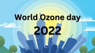 Photo of อะไรคือบทบาทของธีมวันโอโซนสากล ประจำปี 2565 ประวัติศาสตร์วันโอโซนโลก องค์การสหประชาชาติ |  วันโอโซนโลก เมื่อนักวิทยาศาสตร์พบหลุมในชั้นโอโซน ปฏิกิริยาของผู้คนเป็นอย่างไร?  รู้สิ่งที่น่าสนใจเหล่านี้ใน ‘วันโอโซนโลก’